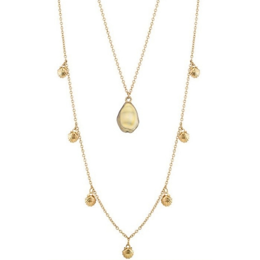 Layered Cowrie Shell Necklace